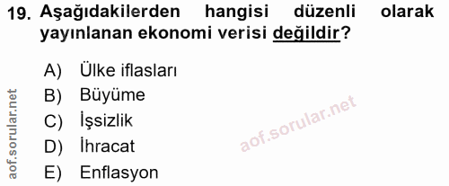 19. soru: Aşağıdakilerden hangisi düzenli olarak yayınlanan ekonomi verisi değildir? A) Ülke iflasları B) Büyüme C) İşsizlik D)…