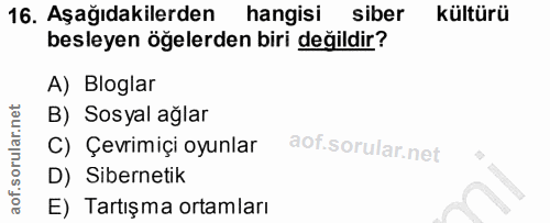 16. soru: Aşağıdakilerden hangisi siber kültürü besleyen öğelerden biri değildir? A) Bloglar B) Sosyal ağlar C) Çevrimiçi oyunl…