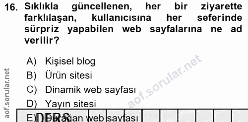 16. soru: Sıklıkla güncellenen, her bir ziyarette farklilaşan, kullanıcısına her seferinde sürpriz yapabilen web sayfalarına ne…
