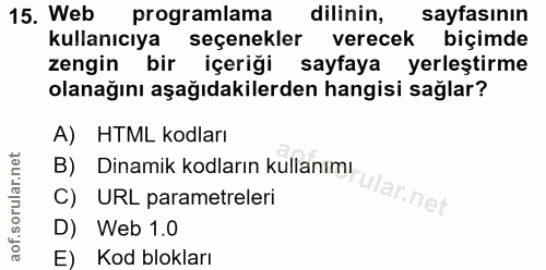 15. soru: Web programlama dilinin, sayfasının kullanıcıya seçenekler verecek biçimde zengin bir içeriği sayfaya yerleştirme ola…