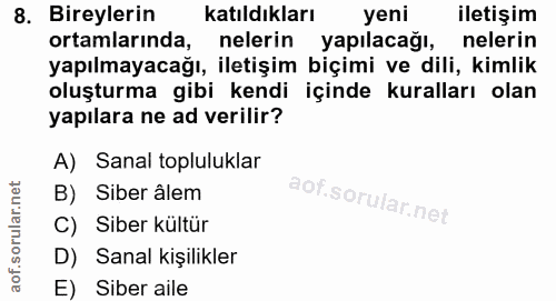 8. soru: Bireylerin katıldıkları yeni iletişim ortamlarında, nelerin yapılacağı, nelerin yapılmayacağı, iletişim biçimi ve dil…