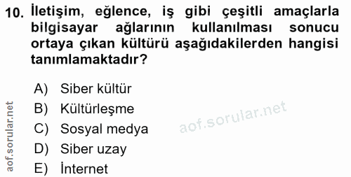 10. soru: Iletişim, eğlence, iş gibi çeșitli amaçlarla bilgisayar ağlarının kullanılması sonucu ortaya çıkan kültürü aşağıdakil…