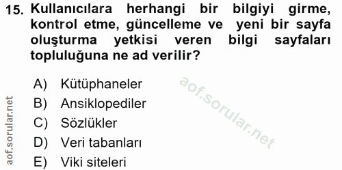 15. soru: Kullanıcılara herhangi bir bilgiyi girme, kontrol etme, güncelleme ve yeni bir sayfa oluşturma yetkisi veren bilgi sa…