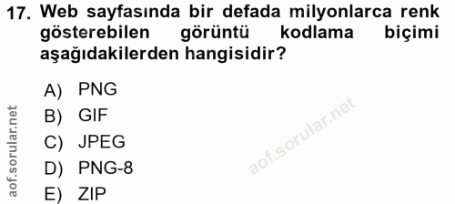 17. soru: Web sayfasında bir defada milyonlarca renk gösterebilen görüntü kodlama biçimi aşağıdakilerden hangisidir? A) PNG B)…
