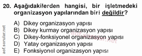 20. soru: Aşağıdakilerden hangisi, bir işletmedeki organizasyon yapılarından biri değildir? A) Dikey organizasyon yapısı B) Dik…