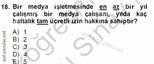 18. soru: Bir medya işletmesinde en az bir yıl çalışmış bir medya çalışanı, yılda kaç haftalık tam ücretli izin hakkına sahipti…