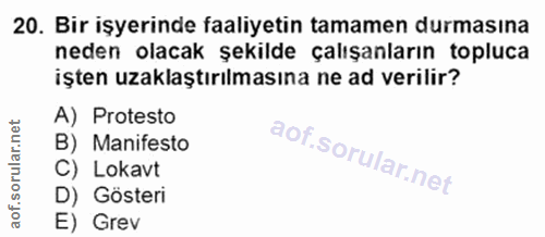 20. soru: Bir işyerinde faaliyetin tamamen durmasına neden olacak şekilde çalışanların topluca işten uzaklaştırılmasına ne ad v…