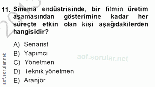 11. soru: Sinema endüstrisinde, bir filmin üretim aşamasından gösterimine kadar her süreçte etkin olan kişi aşağıdakilerden han…