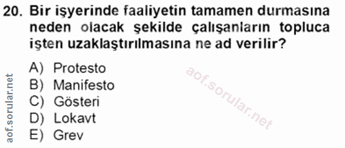 20. soru: Bir işyerinde faaliyetin tamamen durmasına neden olacak şekılde çalışanların topluca işten uzaklaştırılmasına ne ad v…