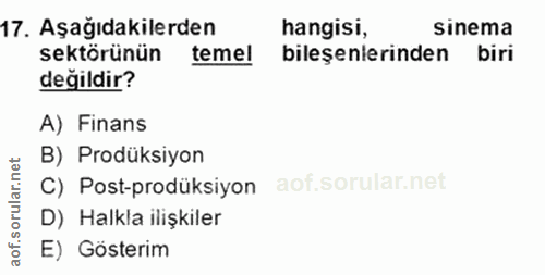 17. soru: Aşağıdakilerden hangisi, Sinema sektörünün teme! bileşenlerinden biri değildir? A) Finans B) Prodüksiyon orular.net C…