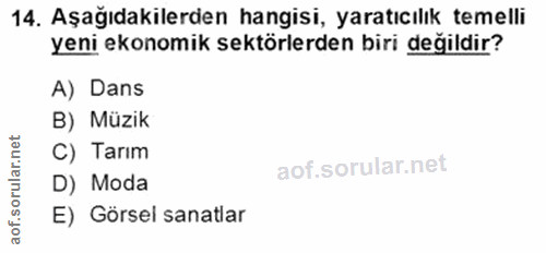 14. soru: Aşağıdakilerden hangisi, yaratıcılık temelli yeni ekonomik sektörlerden biri değildir? A) Dans B) Müzik rular.n C) Ta…
