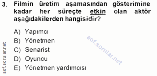 3. soru: Filmin üretim aşamasından gösterimine kadar her süreçte etkin olan aktör aşağıdakilerden hangisidir? A) Yapımcı B) Yö…