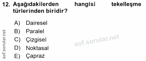 12. soru: Aşağıdakilerden hangisi tekelleşme türlerinden biridir? A) Dairesel B) Paralel ar. C) Çizgisel D) Noktasal aof. E) Ça…