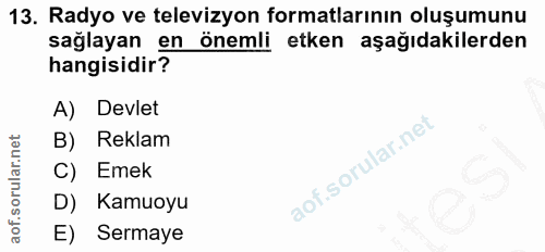 13. soru: Radyo ve televizyon formatlarının oluşumunu sağlayan en önemli etken aşağıdakilerden hangisidir? A) Devlet B) Reklam…