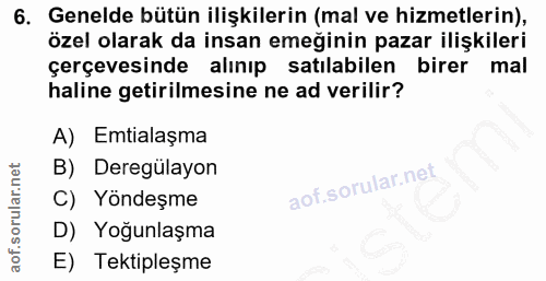 6. soru: Genelde bütün ilişkilerin (mal ve hizmetlerin), özel olarak da insan emeğinin pazar ilişkileri çerçevesinde alınıp sa…