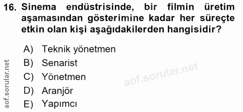 16. soru: Sinema endüstrisinde, bir filmin üretim aşamasından gösterimine kadar her süreçte etkin olan kişi aşağıdakilerden han…