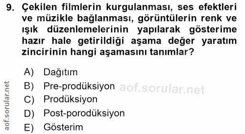 9. soru: Çekilen filmlerin kurgulanması, ses efektleri ve müzikle bağlanması, görüntülerin renk ve ışık düzenlemelerinin yapıl…