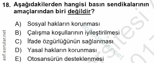 18. soru: Aşağıdakilerden hangisi basın sendikalarının amaçlarından biri değildir? A) Sosyal hakların korunması B) Çalışma koşu…
