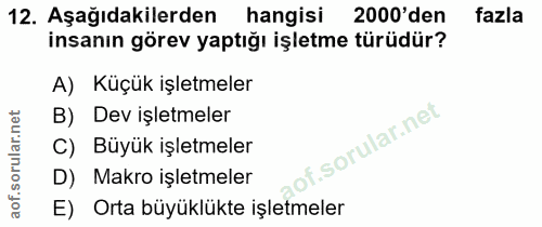 12. soru: Aşağıdakilerden hangisi 2000'den fazla insanın görev yaptığı işletme türüdür? A) Küçük işletmeler B) Dev işletmeler f…