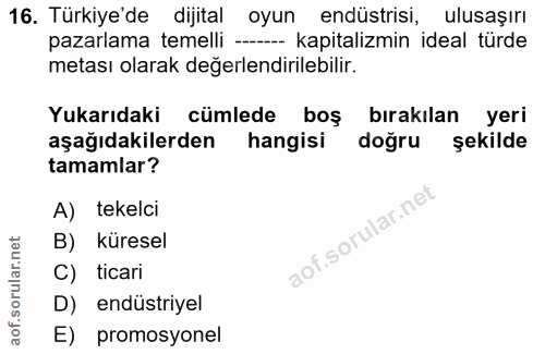 16. soru: Türkiye'de dijital oyun endüstrisi, ulusaşırı pazarlama temelli ---- kapitalizmin ideal türde metası olarak değerlend…
