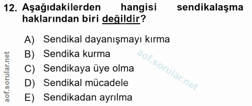 12. soru: Aşağıdakilerden hangisi sendikalaşma haklarından biri değildir? A) Sendikal dayanışmayı kırma B) Sendika kurma C) Sen…
