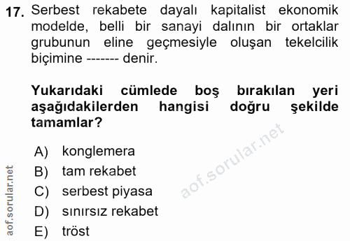 17. soru: Serbest rekabete dayalı kapitalist ekonomik modelde, belli bir sanayi dalının bir ortaklar grubunun eline geçmesiyle…