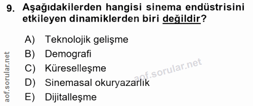 9. soru: Aşağıdakilerden hangisi sinema endüstrisini etkileyen dinamiklerden biri değildir? A) Teknolojik gelişme B) Demografi…