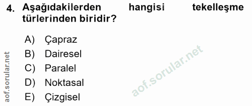 4. soru: Aşağıdakilerden hangisi tekelleşme türlerinden biridir? A) Çapraz B) Dairesel C) Paralel D) Noktasal E) Çizgisel