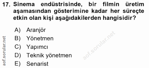 17. soru: Sinema endüstrisinde, bir filmin üretim aşamasından gösterimine kadar her süreçte etkin olan kişi aşağıdakilerden han…