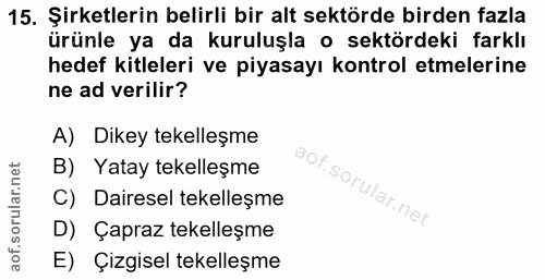 15. soru: Şirketlerin belirli bir alt sektörde birden fazla ürünle ya da kuruluşla o sektördeki farklı hedef kitleleri ve piyas…