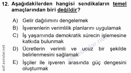 12. soru: Aşağıdakilerden hangisi sendikaların temel amaçlarından biri değildir? A) Gelir dağılımını dengelemek B) İşverenlerin…