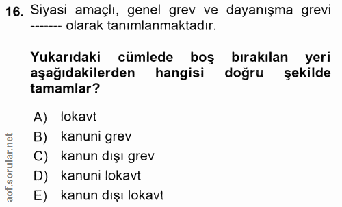 16. soru: Siyasi amaçlı, genel grev ve dayanışma grevi --- olarak tanımlanmaktadır. Yukarıdaki cümlede boş bırakılan yeri aşağı…