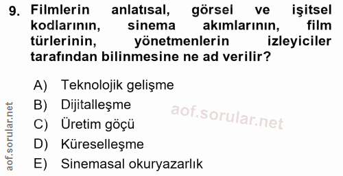 9. soru: Filmlerin anlatısal, görsel ve işitsel kodlarının, sinema akımlarının, film türlerinin, yönetmenlerin izleyiciler tar…
