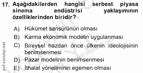 17. soru: Aşağıdakilerden hangisi serbest piyasa sinema endüstrisi yaklaşımının özelliklerinden biridir? A) Hükümet sansürünün…