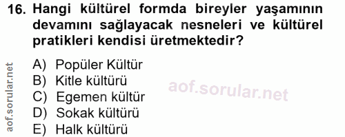 16. soru: Hangi kültürel formda bireyler yaşamının devamını sağlayacak nesneleri ve kültürel pratikleri kendisi üretmektedir? A…