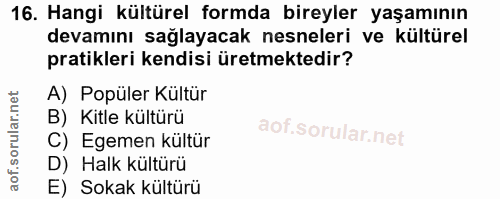 16. soru: Hangi kültürel formda bireyler yaşamının devamını sağlayacak nesneleri ve kültürel pratikleri kendisi üretmektedir? A…