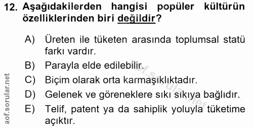 12. soru: Aşağıdakilerden hangisi popüler kültürün özelliklerinden biri değildir? A) Ureten ile tüketen arasında toplumsal stat…