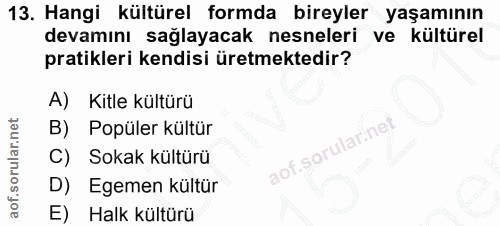 13. soru: Hangi kültürel formda bireyler yaşamının devamını sağlayacak nesneleri ve kültürel pratikleri kendisi üretmektedir? A…