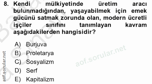 8. soru: Kendi mülkiyetinde üretim aracı bulunmadığından, yaşayabilmek için emek gücünü satmak zorunda olan, modern ücretli iş…