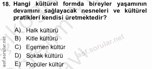 18. soru: Hangi kültürel formda bireyler yaşamının devamını sağlayacak nesneleri ve kültürel pratikleri kendisi üretmektedir? A…