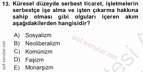 13. soru: Küresel düzeyde serbest ticaret, işletmelerin serbestçe işe alma ve işten çıkarma hakkına sahip olması gibi olguları…