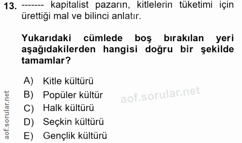 13. soru: -- kapitalist pazarın, kitlelerin tüketimi için ürettiği mal ve bilinci anlatır. Yukarıdaki cümlede boş bırakılan yer…