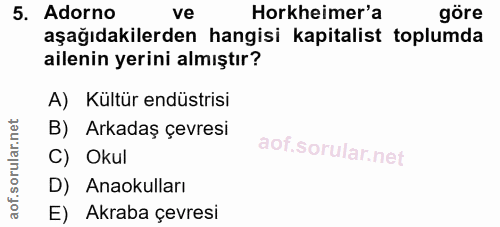 5. soru: Adorno Horkheimer'a göre aşağıdakilerden hangisi kapitalist toplumda ailenin yerini almıştır? A) Kültür endüstrisi B)…