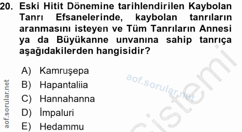 20. soru: Eski Hitit Dönemine tarihlendirilen Kaybolan Tanrı Efsanelerinde, kaybolan tanriların aranmasını isteyen ve Tüm Tanrı…