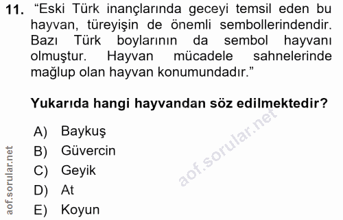 11. soru: "Eski Türk inançlarında geceyi temsil eden bu hayvan, türeyişin de önemli sembollerindendir. Bazı Türk boylarının da…