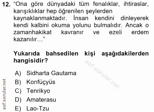12. soru: "Ona göre dünyadaki tüm fenalıklar, ihtiraslar, karışıklıklar hep öğrenilen şeylerden kaynaklanmaktadır. Insan kendin…