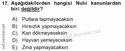 17. soru: Aşağıdakilerden hangisi Nuhi kanunlardan biri değildir? A) Putlara tapmayacaksın B) Hırsızlık yapmayacaksın C) Kan dö…