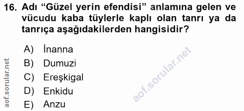 16. soru: Adı "Güzel yerin efendisi" anlamına gelen ve vücudu kaba tüylerle kaplı olan tanrı ya da tanrıça aşağıdakilerden hang…