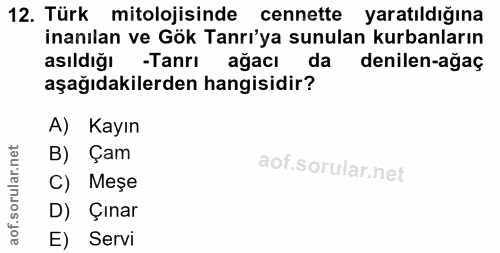12. soru: Türk mitolojisinde cennette yaratıldığına inanılan ve Gök Tanrı'ya sunulan kurbanların asıldığı -Tanrı ağacı da denil…