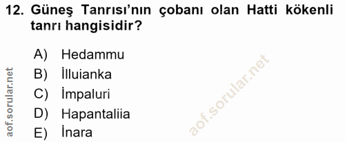 12. soru: Güneş Tanrısı'nın çobanı olan Hatti kökenli tanrı hangisidir? A) Hedammu B) Illuianka C) impaluri D) Hapantaliia E) I…